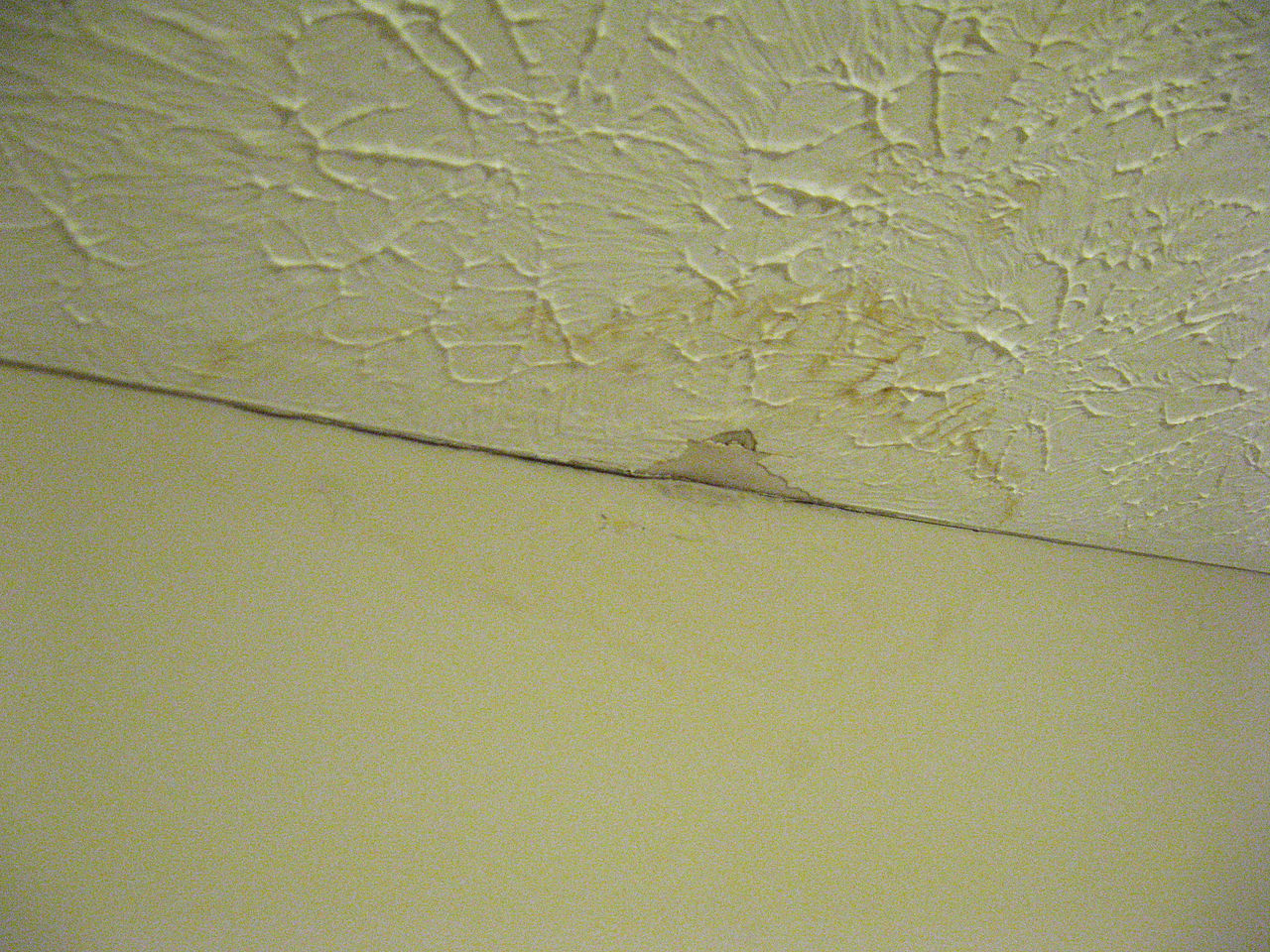 what to do if your apartment ceiling is leaking